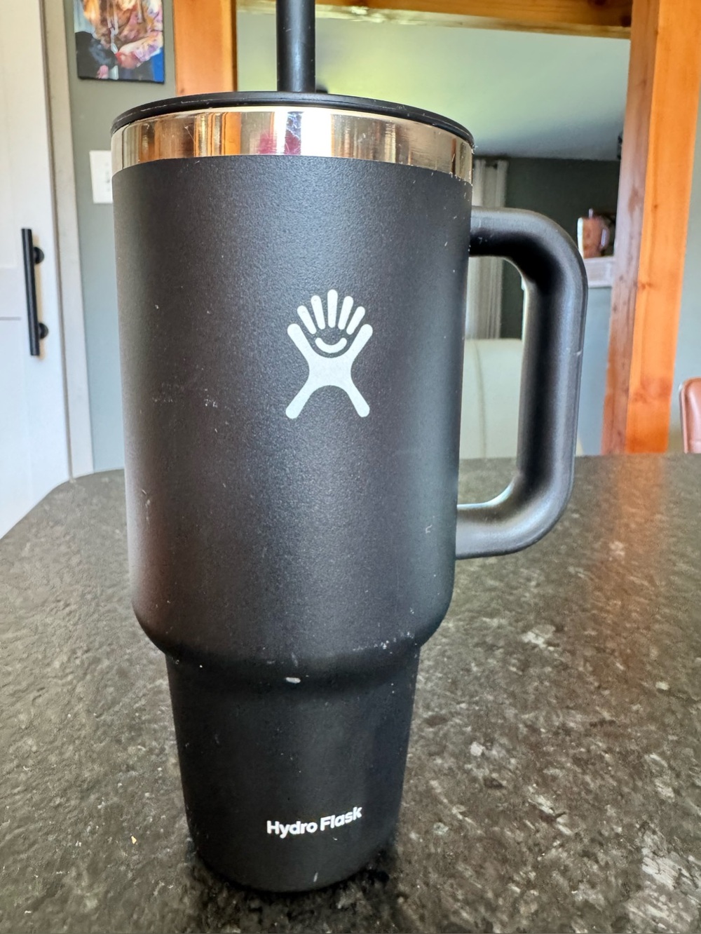 Hydro Flask Matte Black Insulated Travel Tumbler with Handle